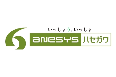 ANESYSハセガワ<br class="sp-only">株式会社